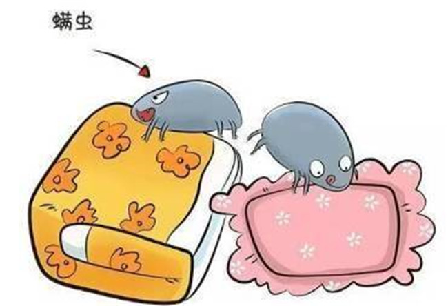 面部保養(yǎng)：去除臉上螨蟲(chóng)美容妙招