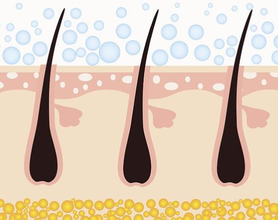 遠(yuǎn)離草莓鼻！