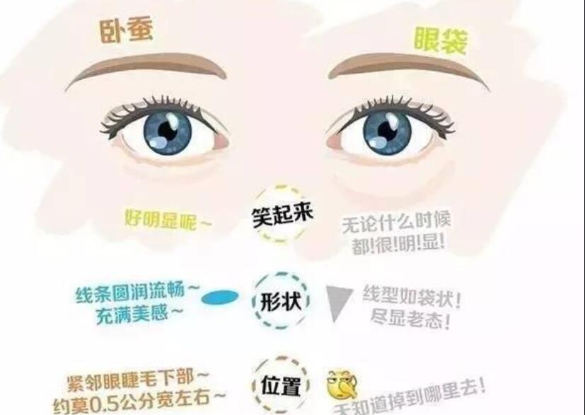 眼袋還是臥蠶，快來學(xué)辨別的方法