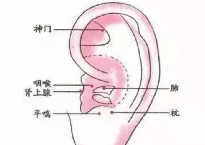 如何正確艾灸耳朵？南寧美容學(xué)校幫你整理教程