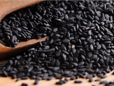 在家也能做的美發(fā)沙龍！