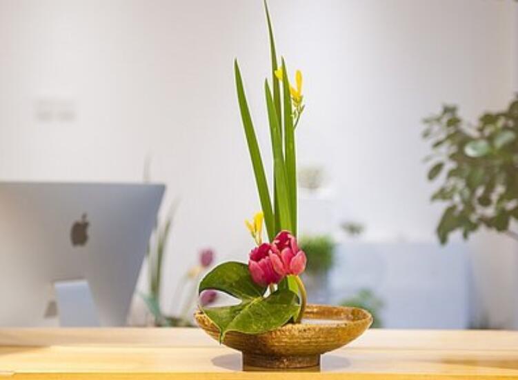 什么是盆式插花？南寧插花培訓(xùn)課程解析