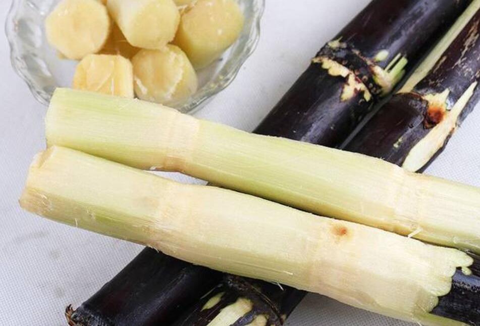 秋冬適合吃什么？南寧教美容養(yǎng)生的學(xué)校分享給你