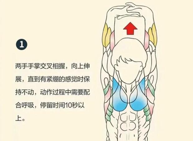 南寧美容師培訓(xùn)要學(xué)什么？背部護(hù)理就是其中一項