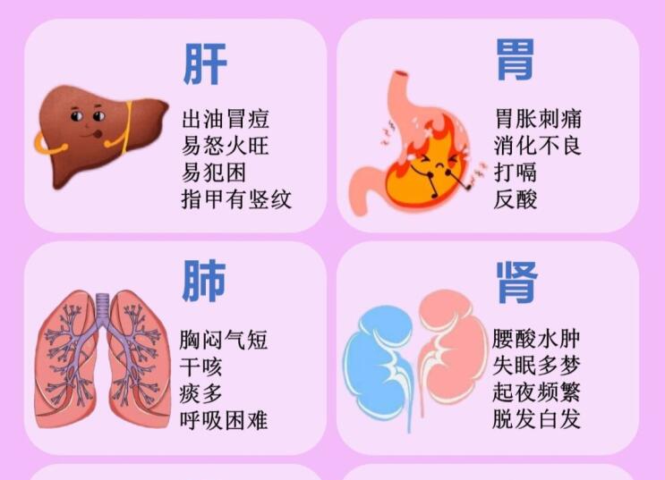 6大臟器保養(yǎng)指南，6款養(yǎng)生茶喝起來 ???