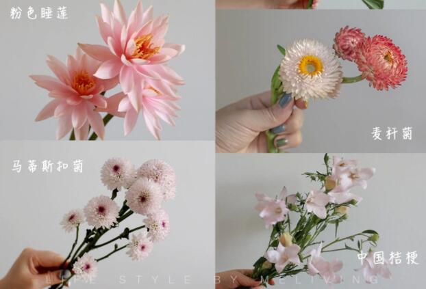 認(rèn)識(shí)常見花朵的名稱，廣西插花學(xué)?；ㄋ嚺嘤?xùn)基礎(chǔ)