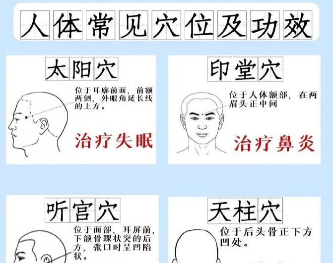 人體常見穴 位及功效，廣西專業(yè)正規(guī)美容學(xué)校講解
