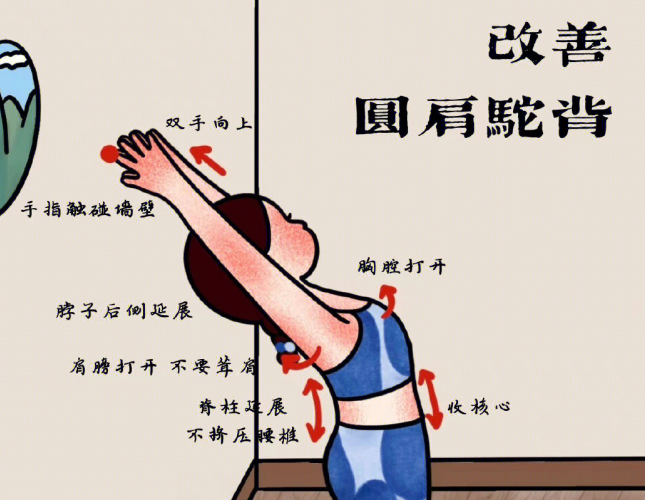廣西美容美體學(xué)校教你改善圓肩駝背