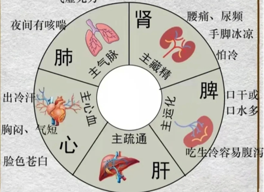 人體不同部位受寒的表現(xiàn)，廣西中醫(yī)美容培訓(xùn)分享