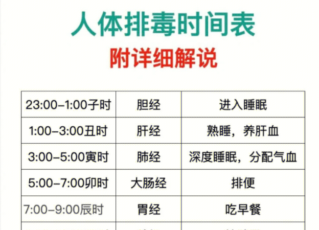 人體排毒時間表，南寧美容專業(yè)學校詳細解說