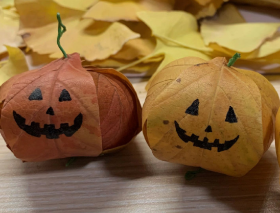 萬圣落葉南瓜燈教程 ，可可愛愛萌萌噠