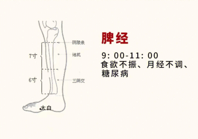 日常容易堵塞的身體部位，廣西美容基礎(chǔ)教學(xué)