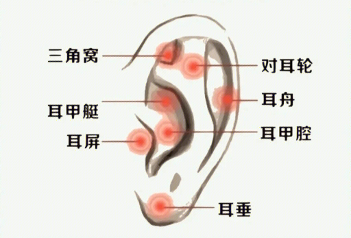 揉搓耳朵的好處，廣西美容經(jīng)絡(luò)培訓班課程