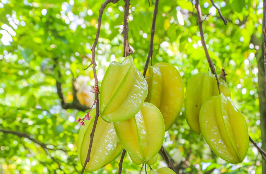 廣西美容護膚養(yǎng)顏班：春天吃什么水果好？