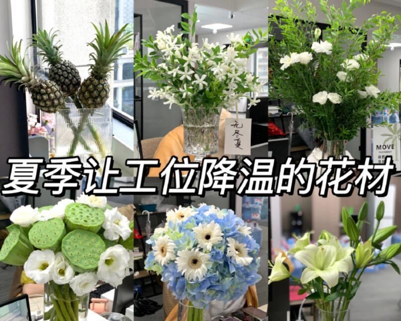 自帶降溫效果的花材，廣西學(xué)鮮花技術(shù)