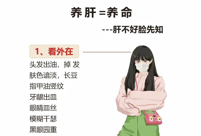 南寧學健康美容：如何正確養(yǎng)肝？