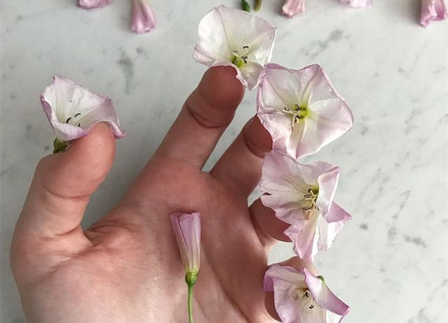 植物藝術(shù)美甲，南寧美甲造型設(shè)計(jì)培訓(xùn)分享