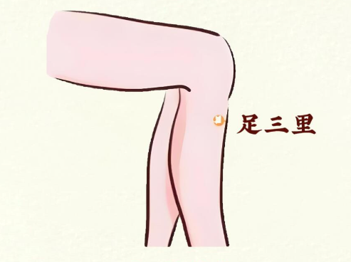 日常養(yǎng)脾胃的小技巧 | 南寧教美容美體哪里專(zhuān)業(yè)